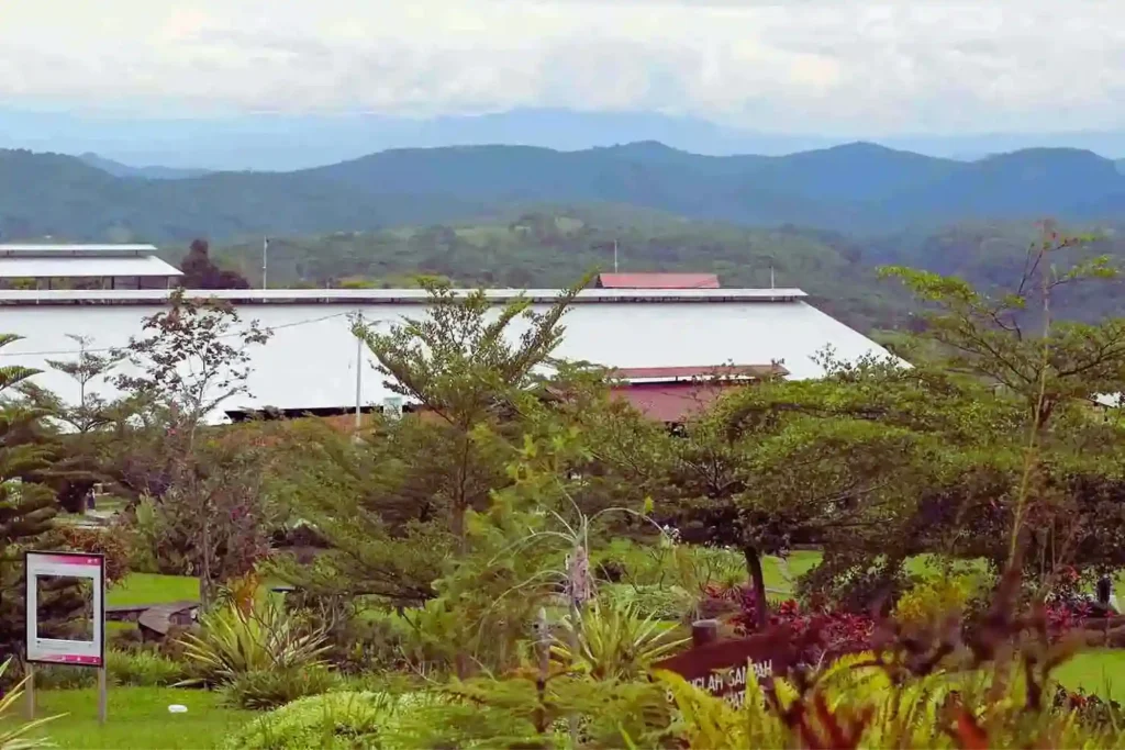 pusat sapi perah sirukam dairy farm