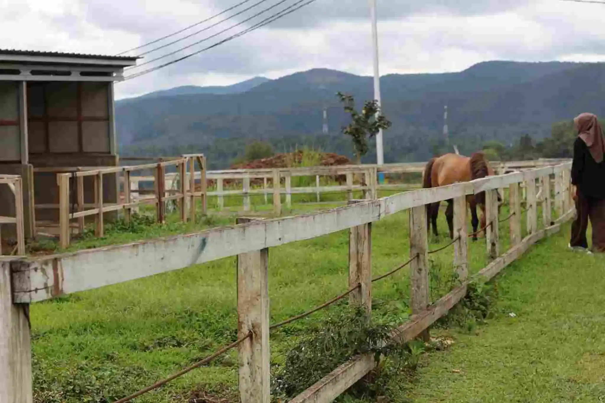 venue-kuda-sirukam-dairy-farm